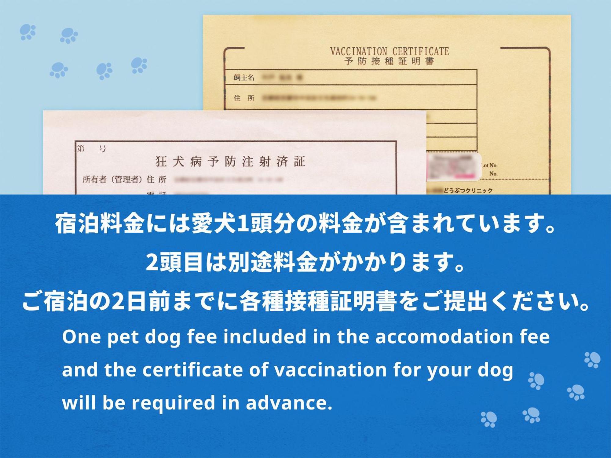 Hotel Anddoggy Kyoto Nijo Bilik gambar