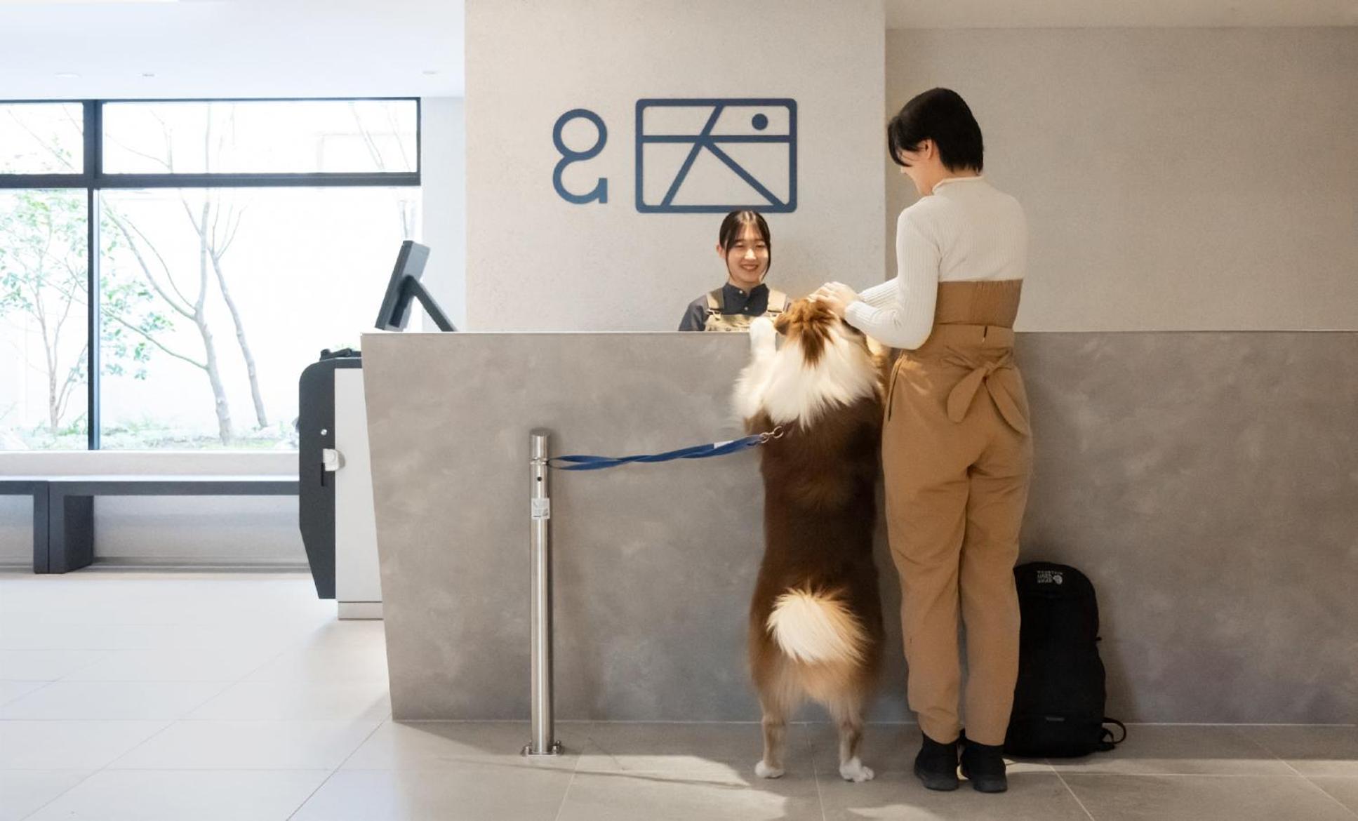 Hotel Anddoggy Kyoto Nijo Luaran gambar