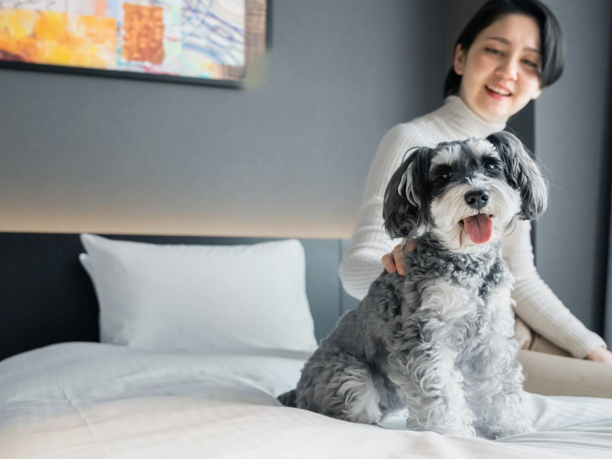 Hotel Anddoggy Kyoto Nijo Luaran gambar