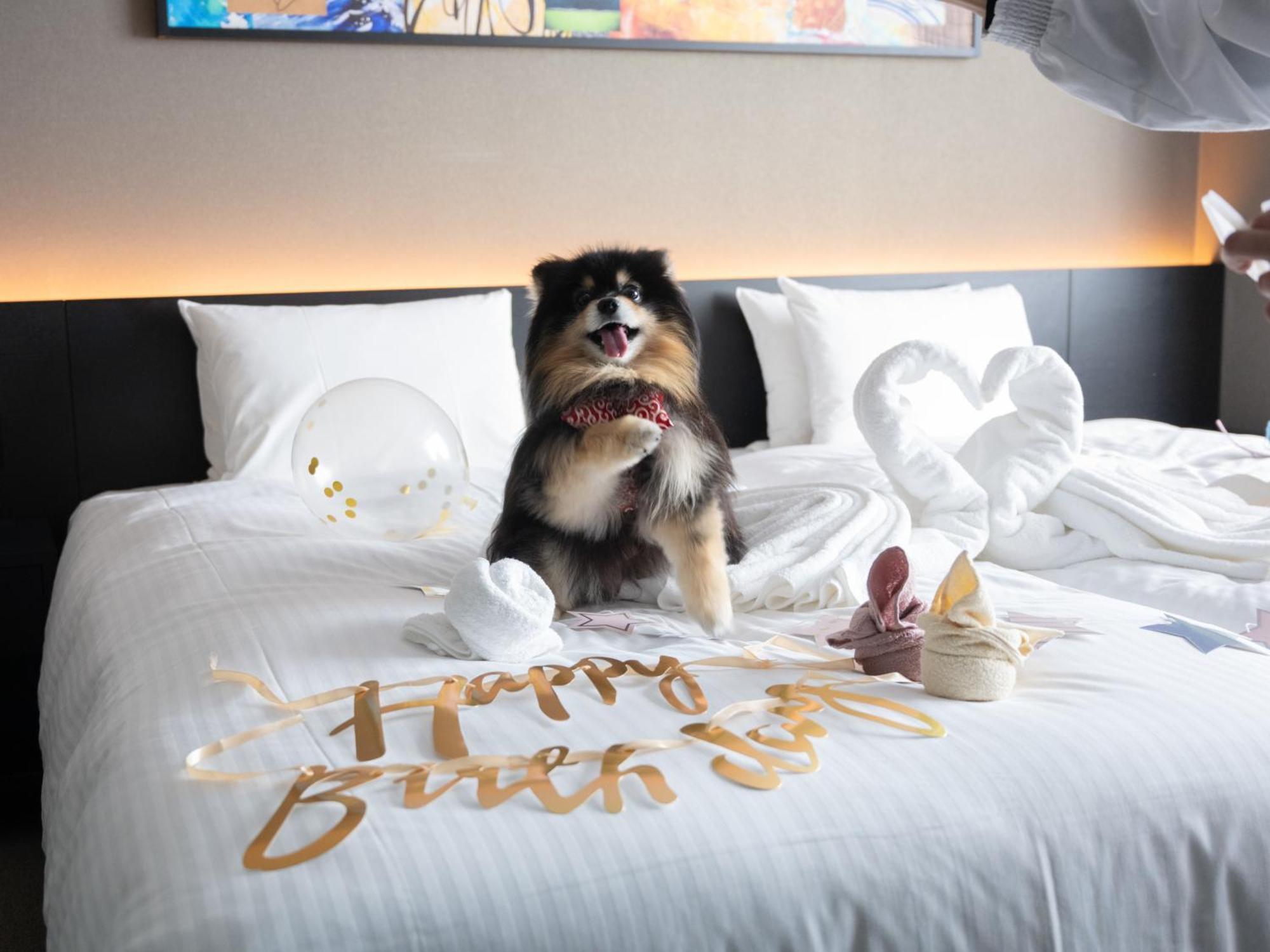 Hotel Anddoggy Kyoto Nijo Luaran gambar